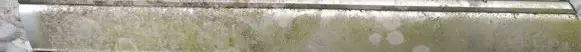 Mazda 626 Front door glass trim molding 