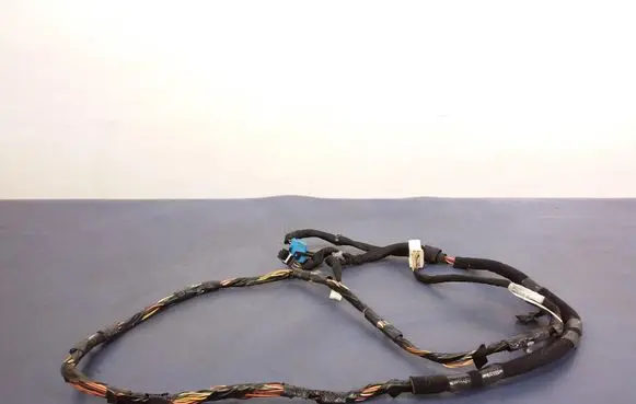 Other wiring loom