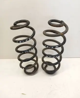 Rear coil spring