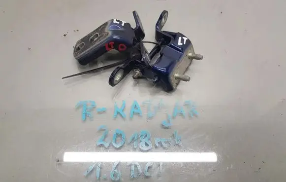 Renault Kadjar Rear door hinge set 