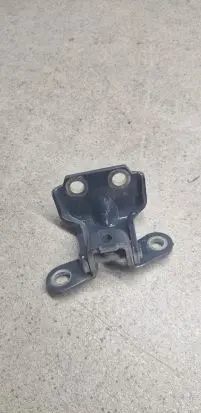 Hyundai Ioniq 5 Front door lower hinge 