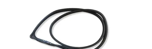 Hyundai Ioniq Front door rubber seal 