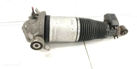 Porsche Cayenne (9PA) Rear shock absorber/damper 7L5512021AL