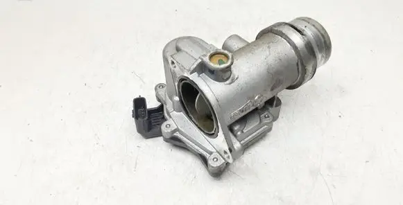 Renault Captur Throttle valve 161A09794R 185309153