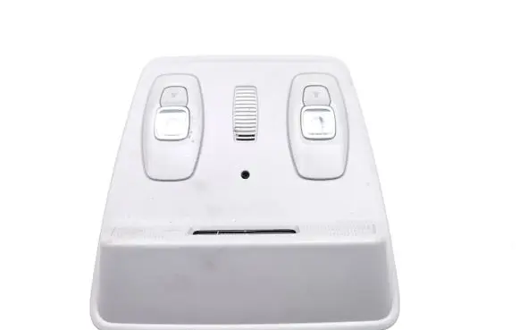 Renault Zoe Front seat light 969807289R