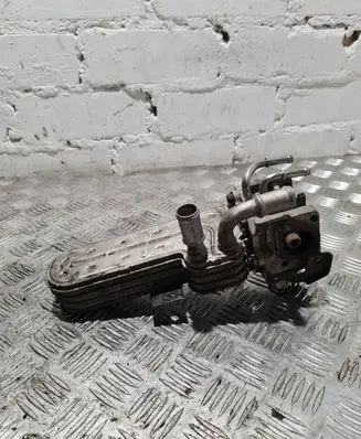 Volkswagen Golf V EGR valve cooler 3210275