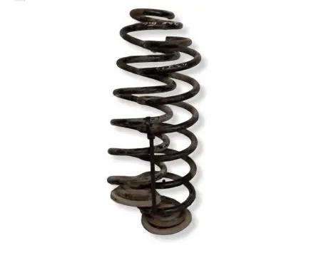 Volkswagen PASSAT B6 Rear coil spring 