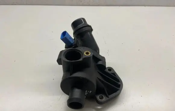 Thermostat/thermostat housing