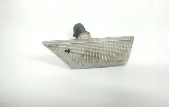 Front fender indicator light