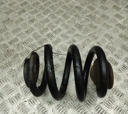 Rear coil spring