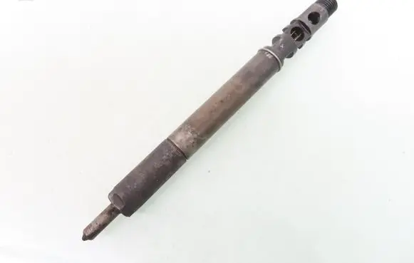 Citroen C3 Fuel injector EJBR01001A