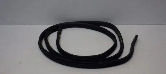 Opel Vivaro Front door rubber seal