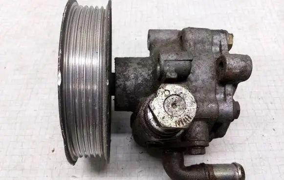 Volkswagen PASSAT B5.5 Power steering pump 038145255B