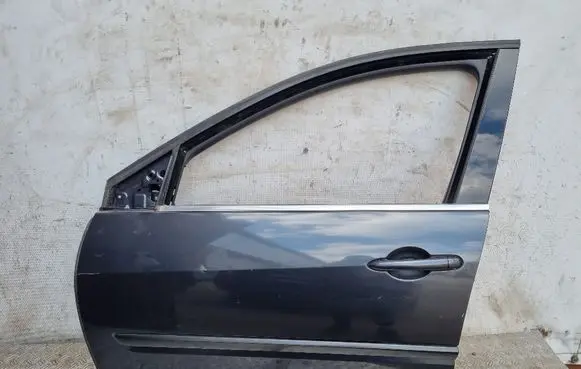 Renault Laguna III Front door 801110002P