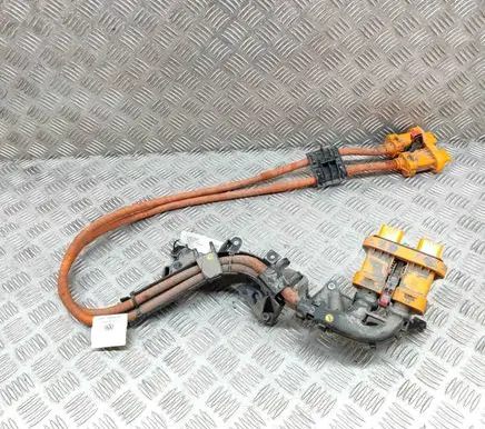 Volkswagen ID.3 Other wiring loom 1EA971015S