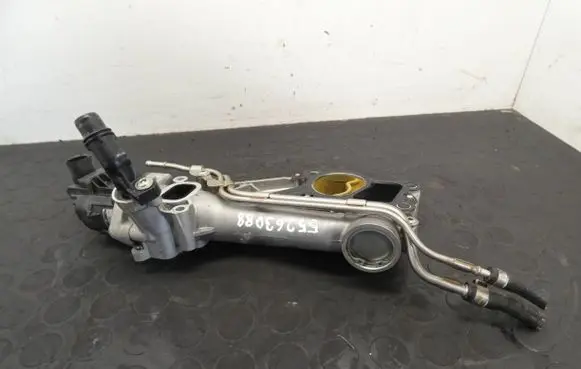 Jeep Compass EGR valve 55274455