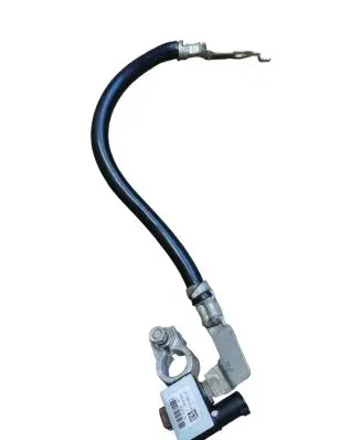 Ford Mustang Mach-E Negative earth cable (battery) LJ9T10C679AD H8QTB