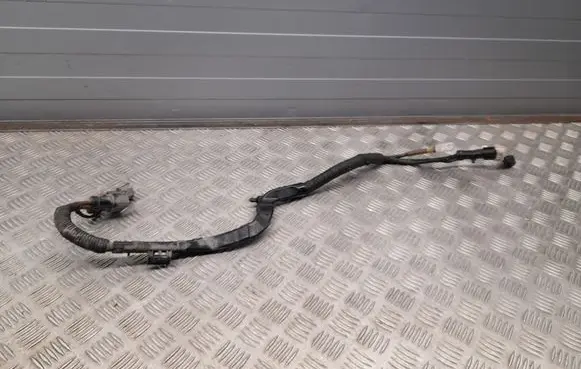 Audi A4 S4 B9 Other wiring loom 8W1971111