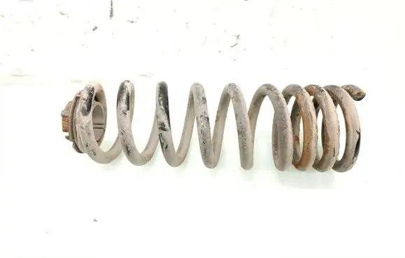 Rear coil spring