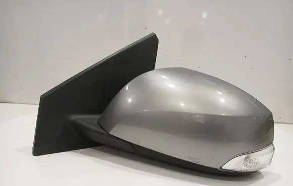 Renault Megane III Front door electric wing mirror 12523320