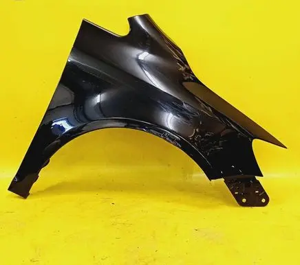 Volkswagen Golf Plus Fender 