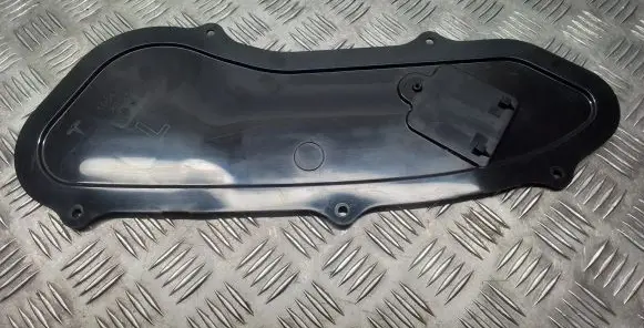 Other rear door trim element