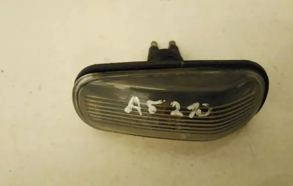 Front fender indicator light