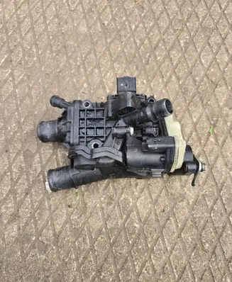 Thermostat/thermostat housing