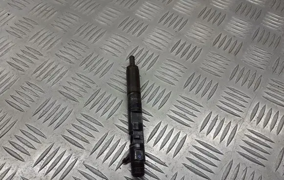 Renault Clio III Fuel injectors set 8200421897