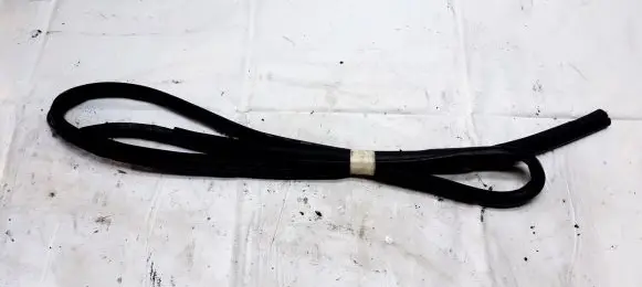 Toyota Avensis T250 Rubber seal front coupe door 