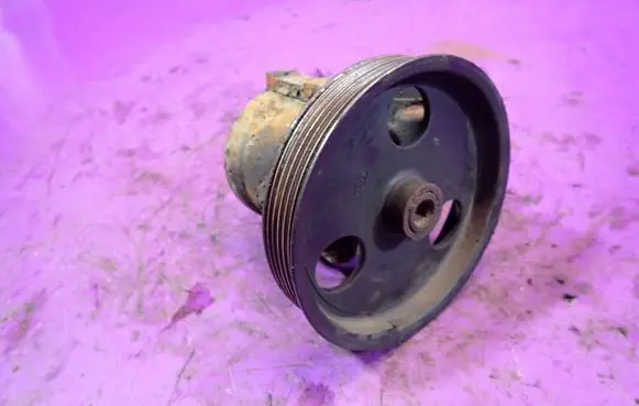 Renault Thalia I Power steering pump