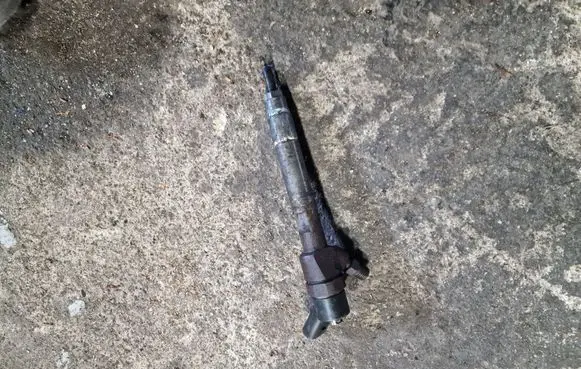 Smart ForTwo I Fuel injector 0445110023