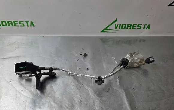 Other wiring loom