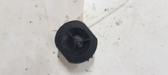 Front door high frequency speaker
