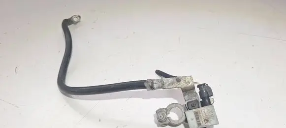 Ford Grand Tourneo Connect Negative earth cable (battery) F1FT10C679BA