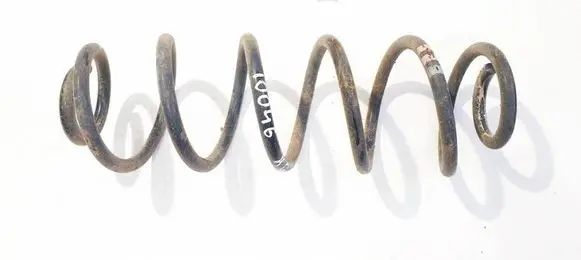 Rear coil spring