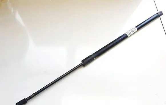 Tailgate/trunk strut/damper