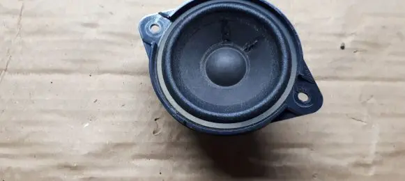 Panel speaker