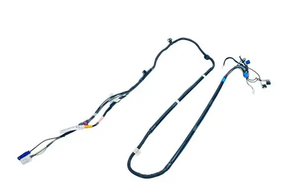 Tesla Model Y Other wiring loom 161669100D