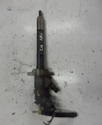 Citroen C4 I Picasso Fuel injector 1980Y1