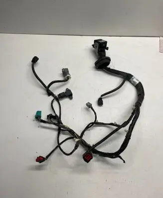 Ford F150 Front door wiring loom BL3T14631S081N EAX169125 S081N