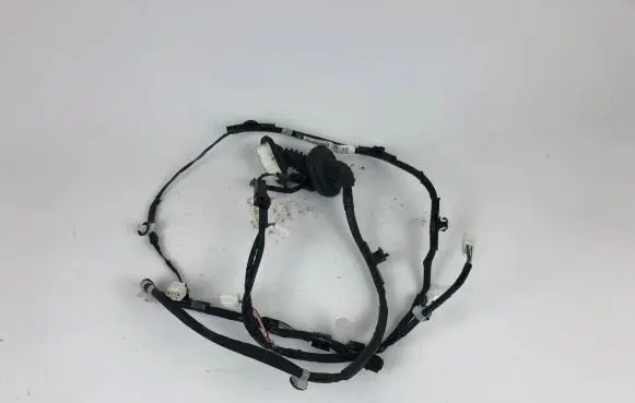 Toyota Mirai Rear door wiring loom 8215362010 00000C48