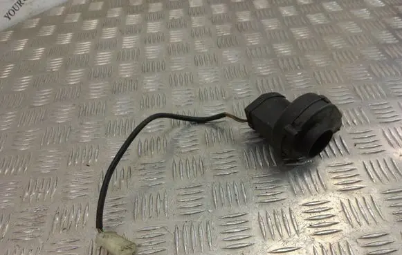 BMW X5 E53 Engine control unit/module fan 1745181