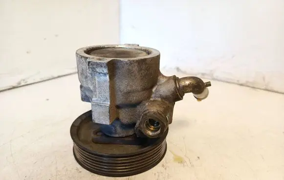 Peugeot Bipper Power steering pump 51894441