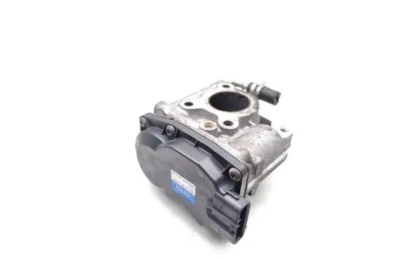 EGR valve