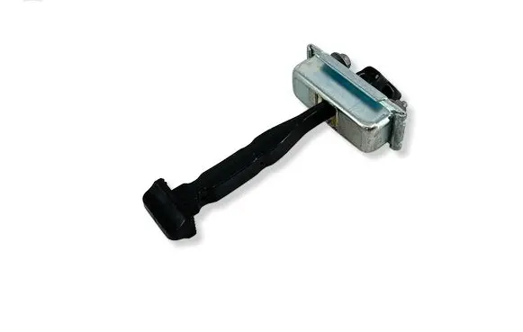 Renault Austral Rear door check strap stopper 20240314 46476