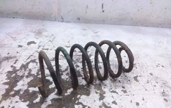 Volkswagen New Beetle Front coil spring 