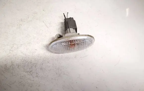 Front fender indicator light