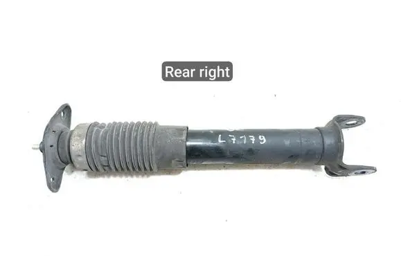 Chevrolet Corvette C6 Rear shock absorber/damper 22784741
