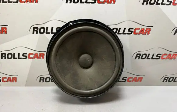 Rear door speaker